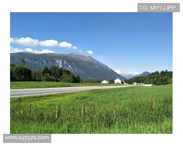 松达尔与维京的激烈对决揭示了挪威足球的竞争魅力与未来发展潜力